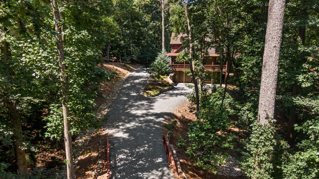 560 Toccoa Preserve Lane Blue Ridge, GA 30513 - Photo 51 of 58