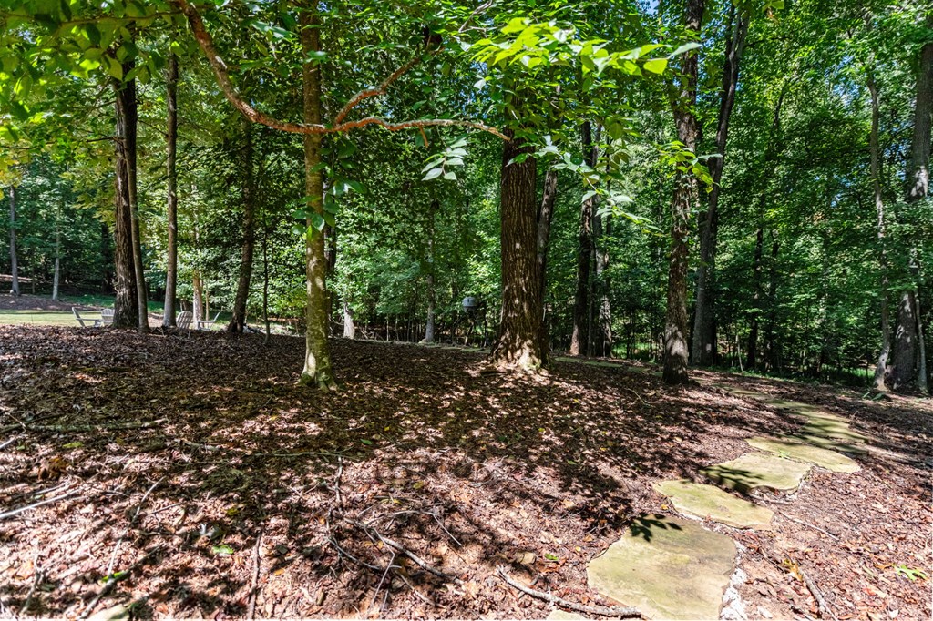 560 Toccoa Preserve Lane Blue Ridge, GA 30513 - Photo 55 of 58