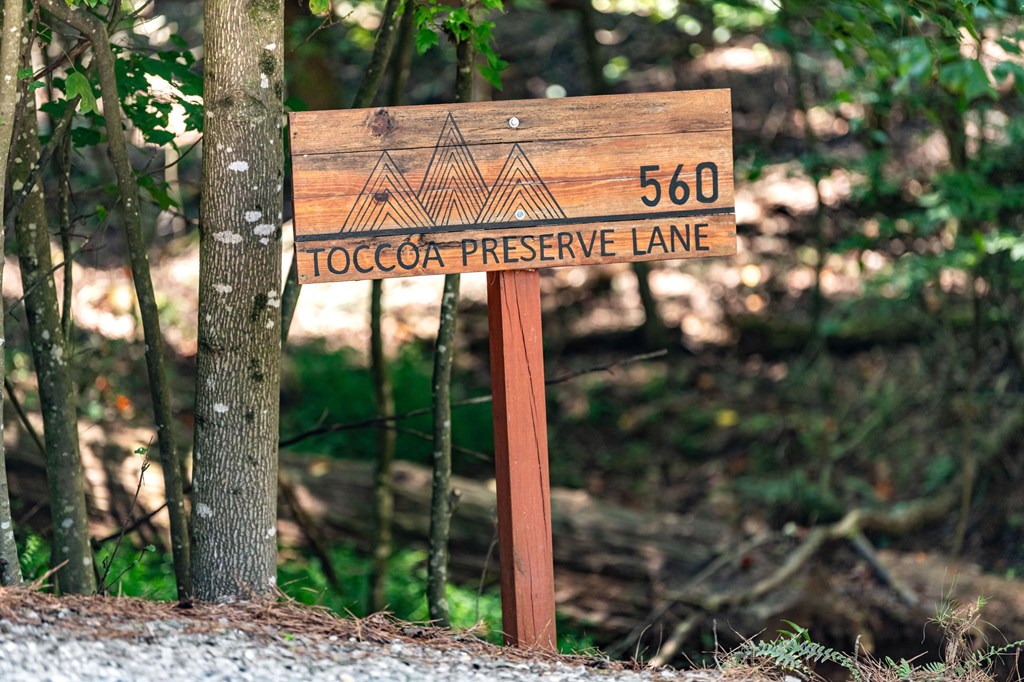 560 Toccoa Preserve Lane Blue Ridge, GA 30513 - Photo 58 of 58