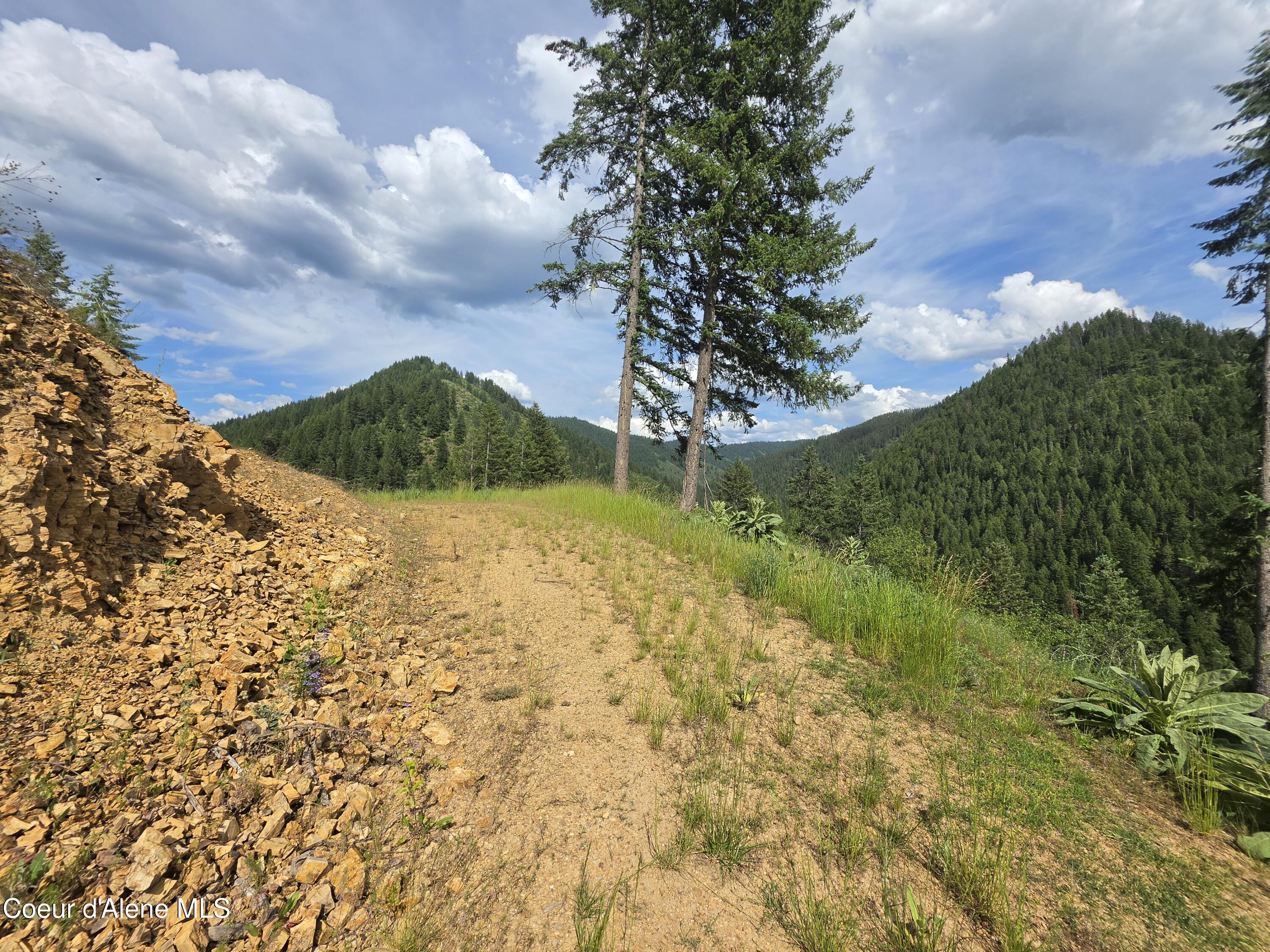 480 Dunn Peak Road Avery, ID 83802 - Photo 65 of 66 4th building site