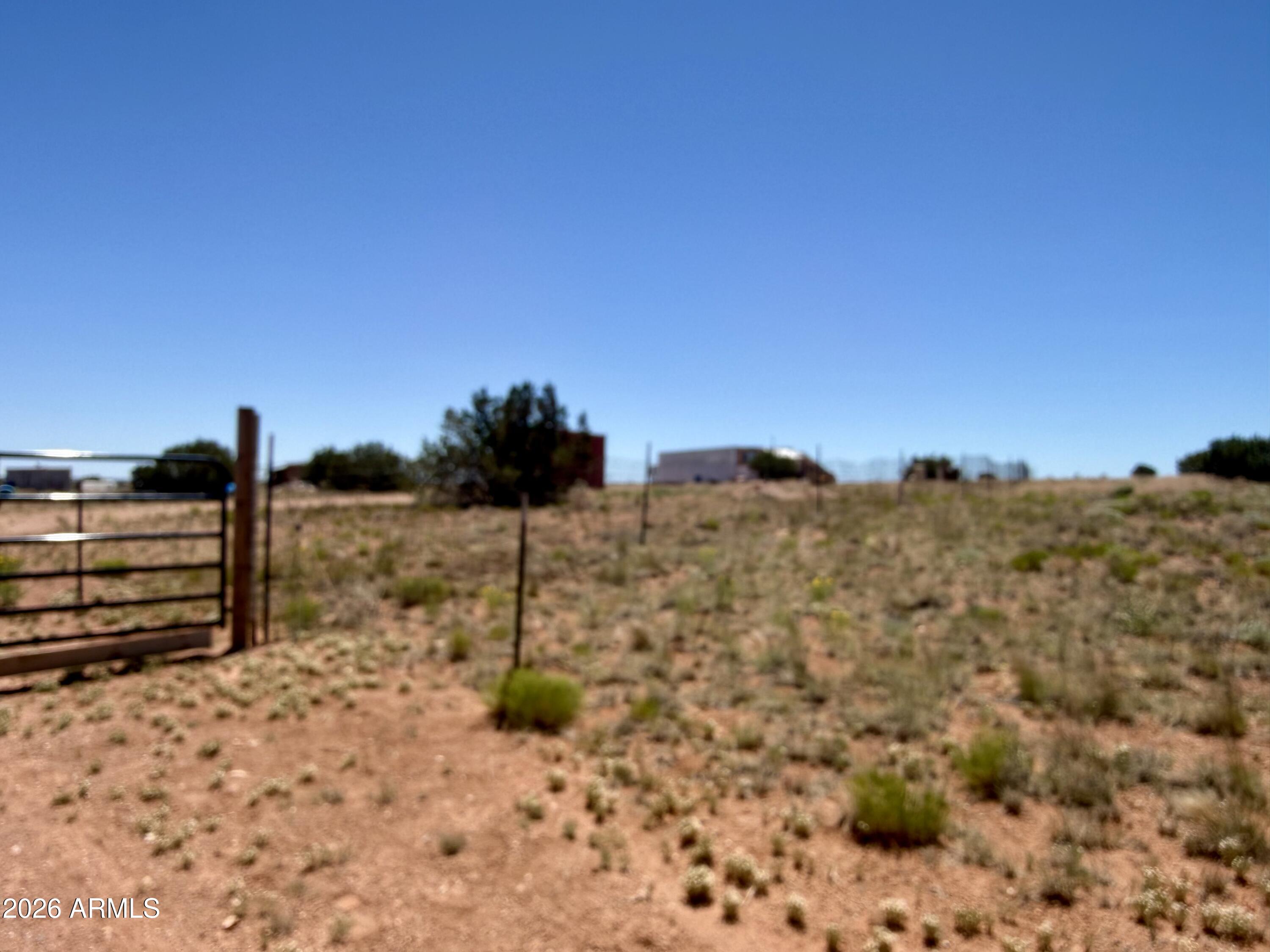 2659 Duck Lake Road Heber, AZ 85928 - Photo 7 of 34 a view of a dry yard with a snow in the background