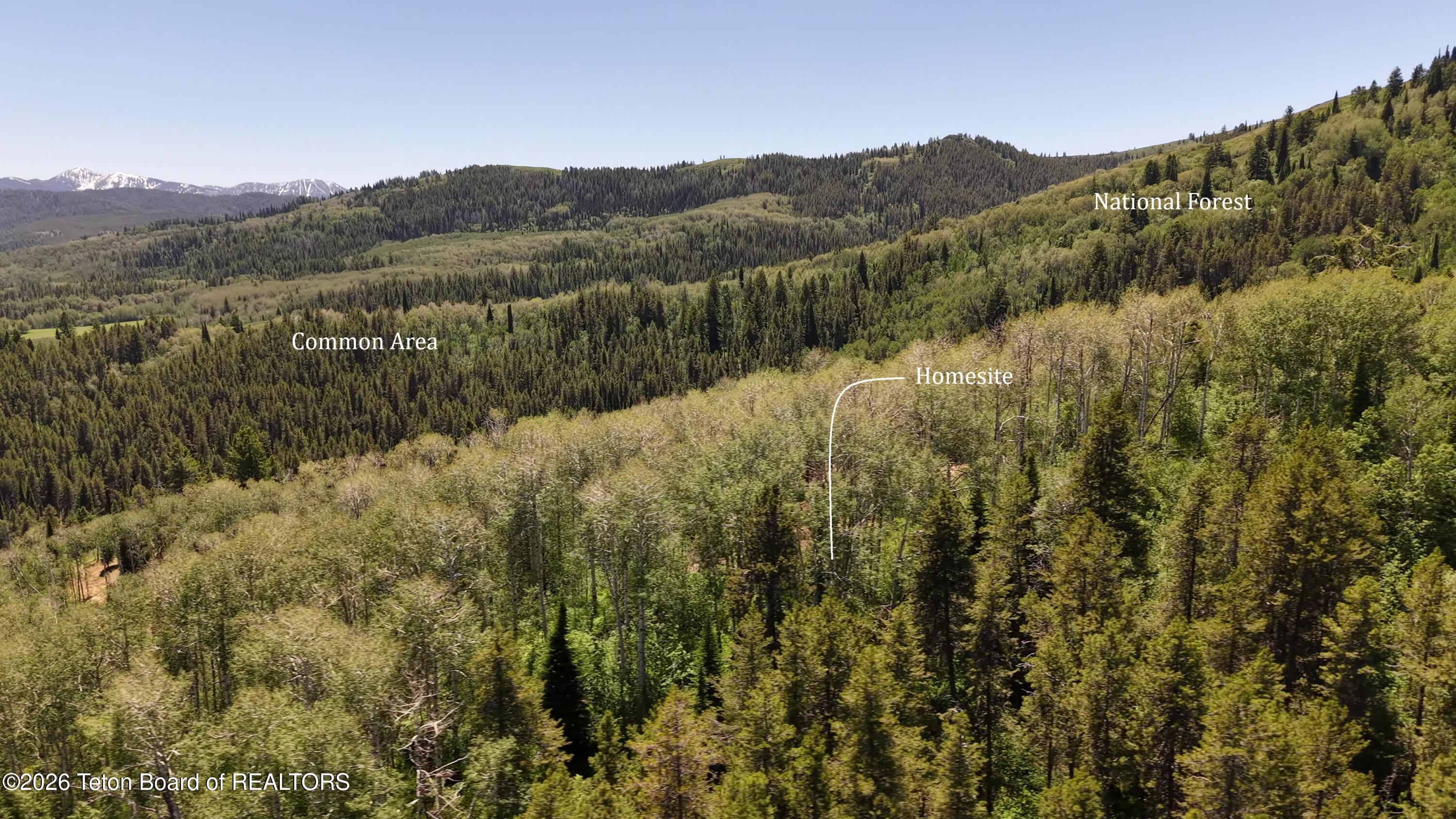 Tbd Lot 6 Tbd Lane Victor, ID 83455 - Photo 8 of 20 8. View from North