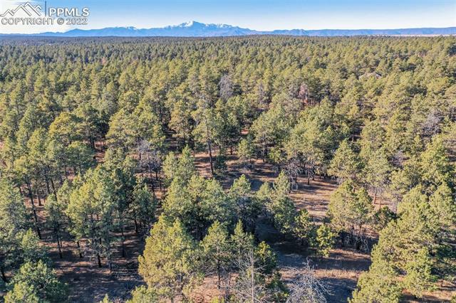 17501 Abert Ridge View Colorado Springs, CO 80908 - Photo 38 of 45 Gallery Image 38