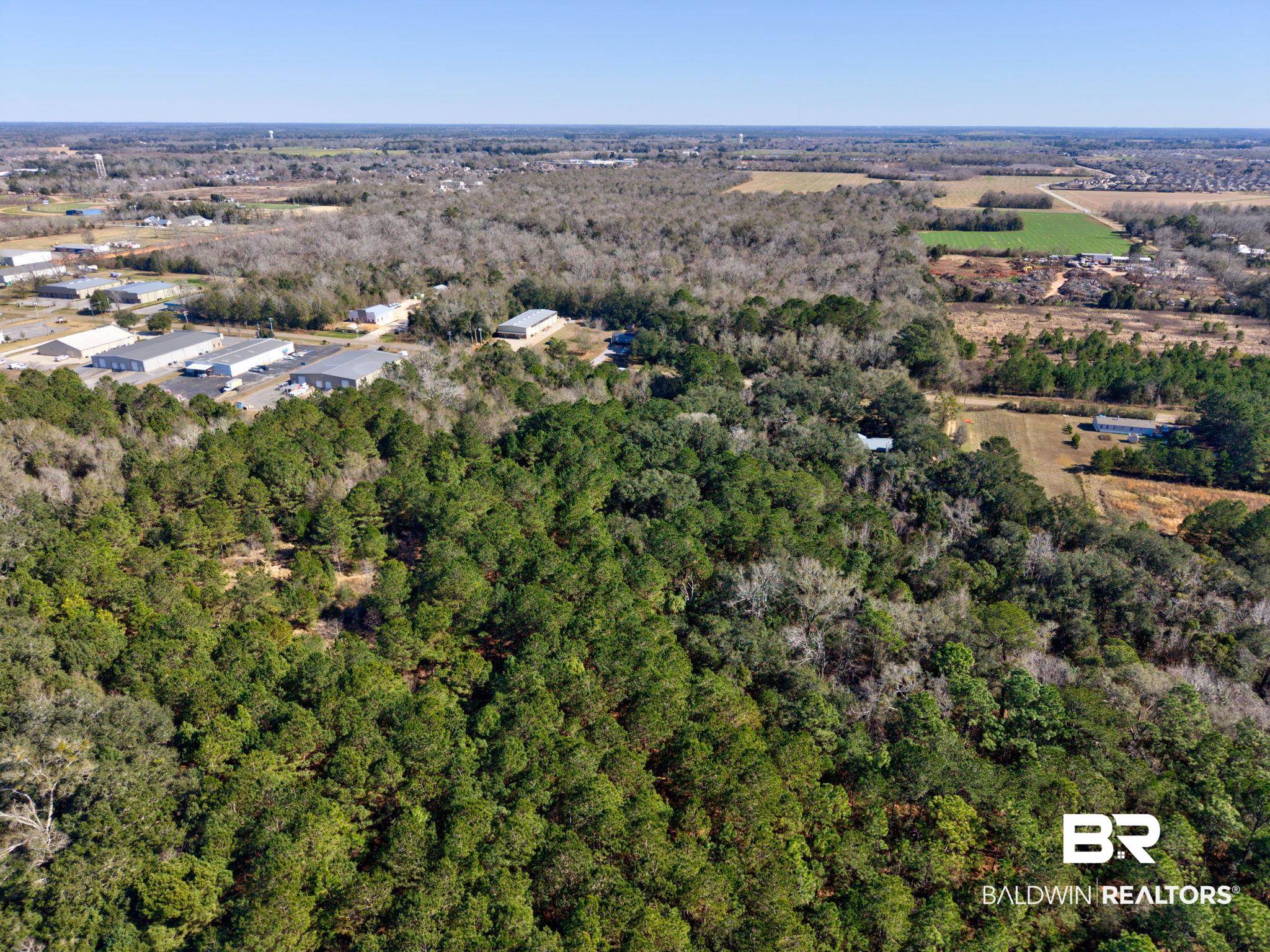 25280 Friendship Road Daphne, AL 36526 - Photo 22 of 34 View of property location with a heavily wooded area