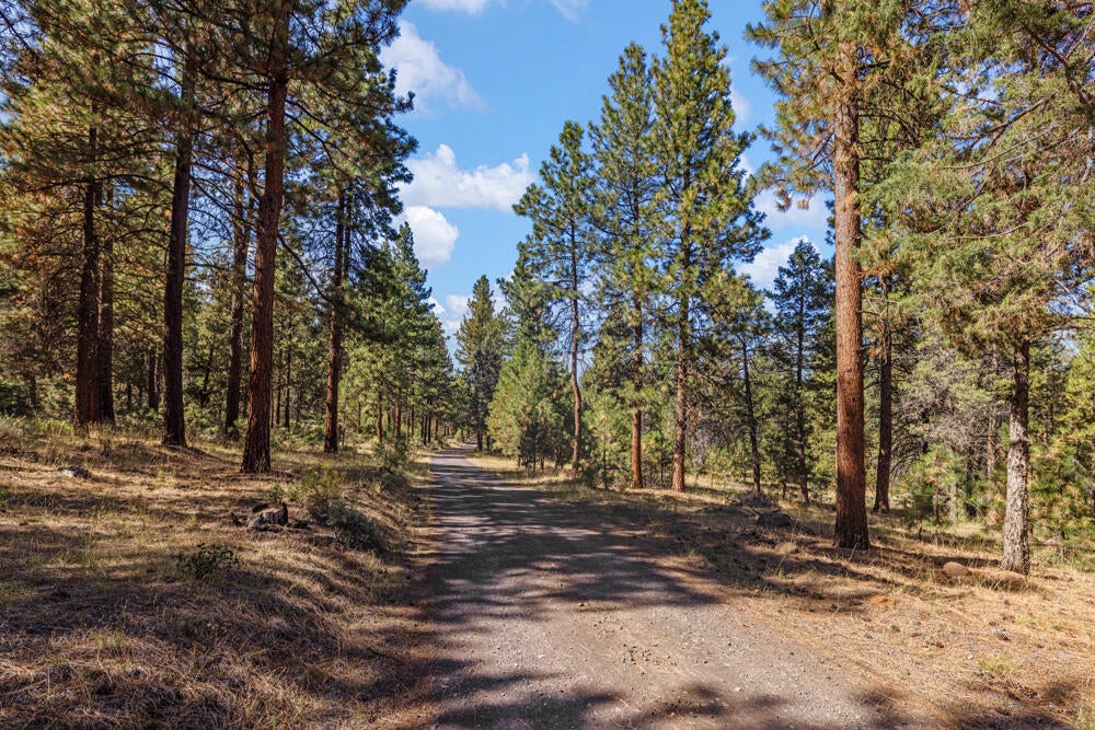 Lot 26 Simpson Canyon Road Klamath Falls, OR 97601 - Photo 14 of 33 SimpsonCanyonLand-7