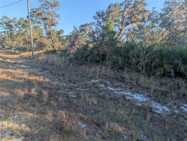 a view of a yard with a tree