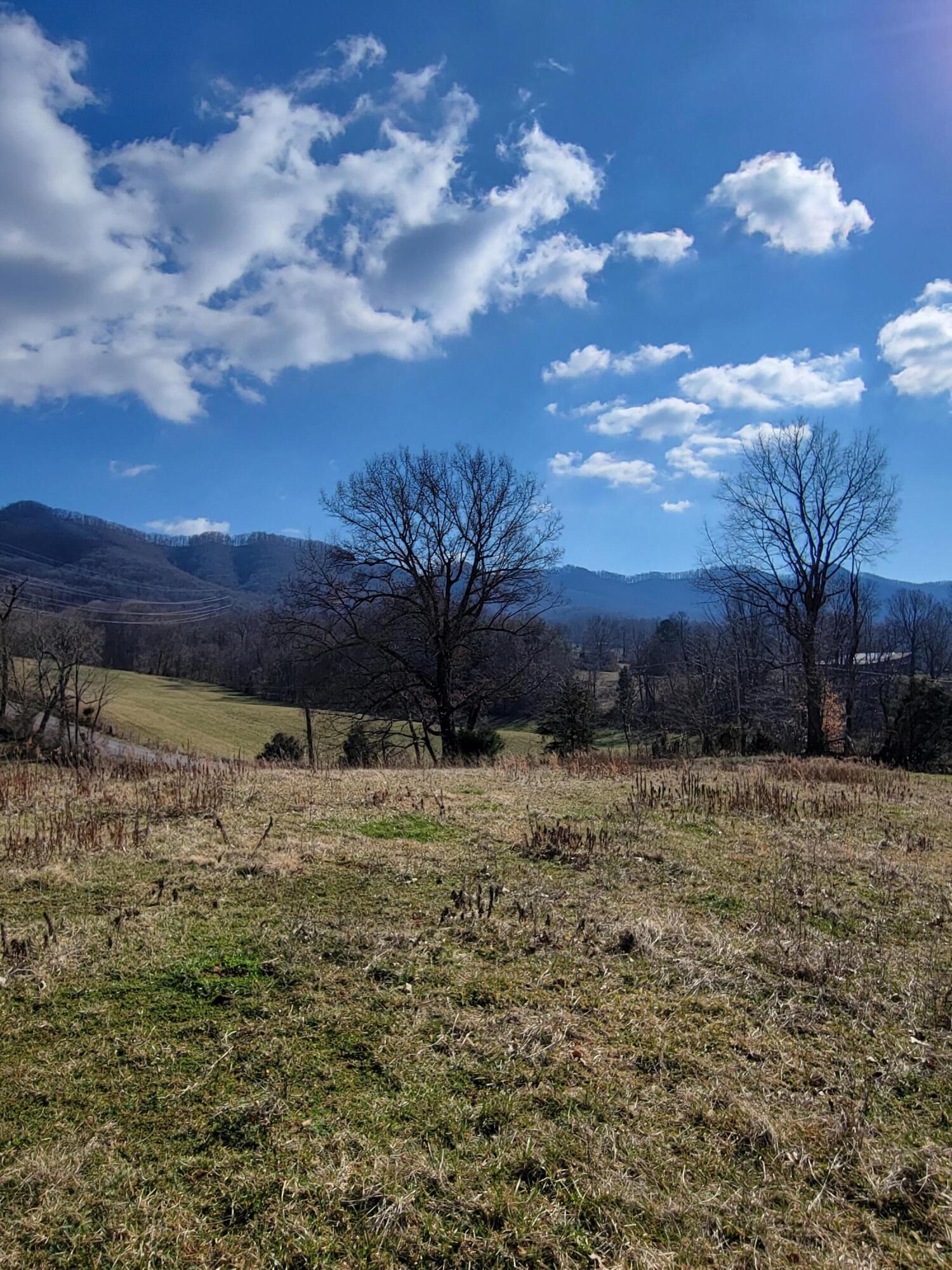 3 Cherokee Mountain Road, Unit 3 Jonesborough, TN 37659 - Photo 3 of 4 20230203_140249
