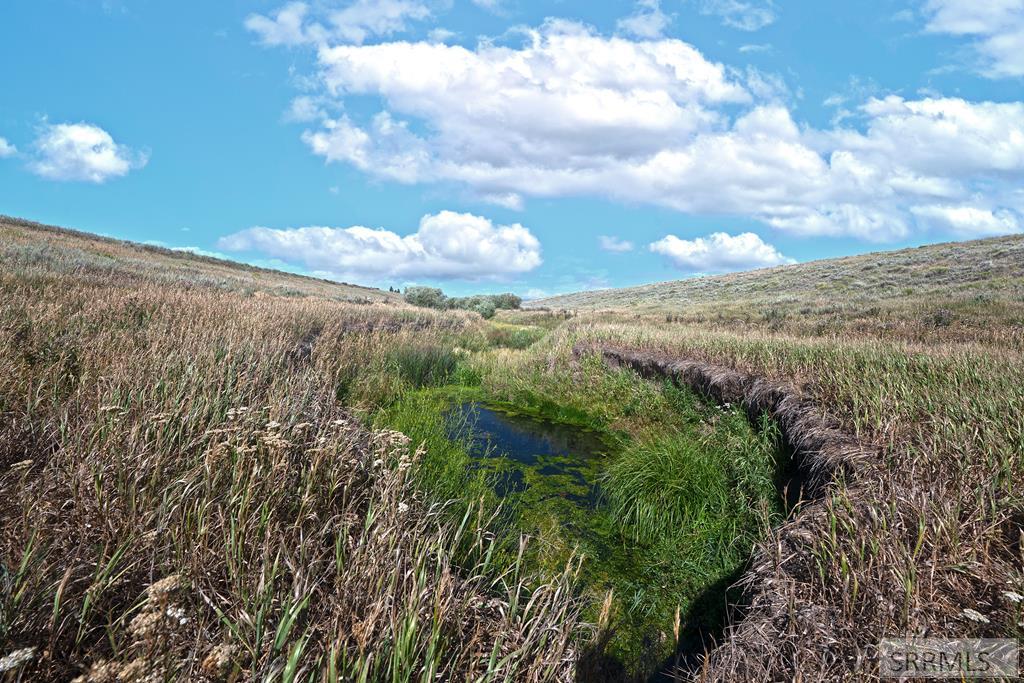 7243 Ards Road Tetonia, ID 83452 - Photo 11 of 37 Spring That Runs Through Property