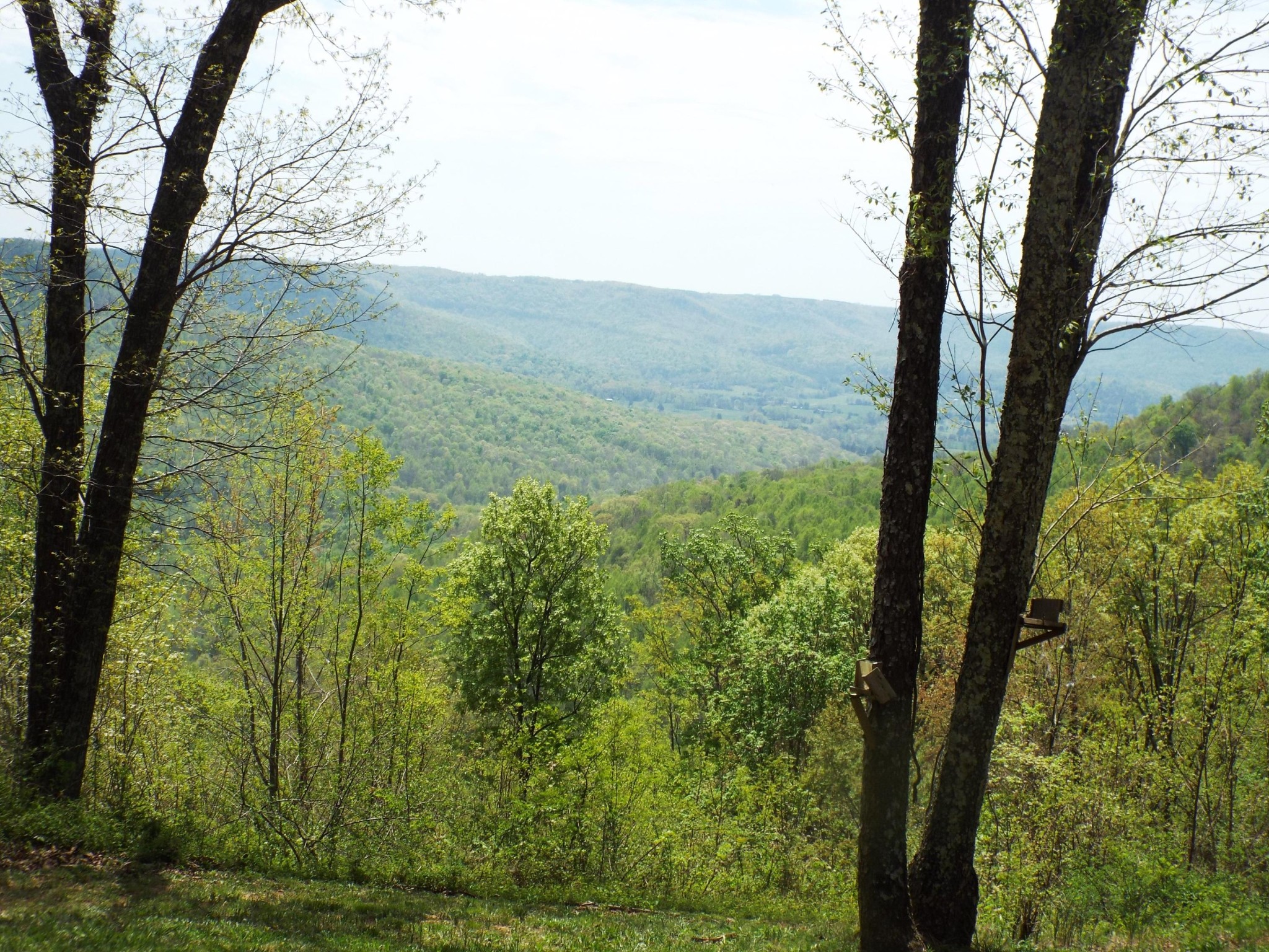 4473 Squirrel Flat Road Jamestown, TN 38556 - Photo 20 of 21 Gallery Image 20