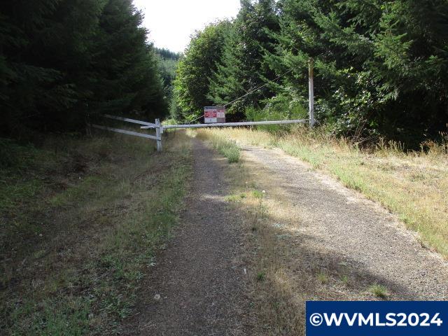 0 Northwest Crane (4) Road Yamhill, OR 97148 - Photo 10 of 12