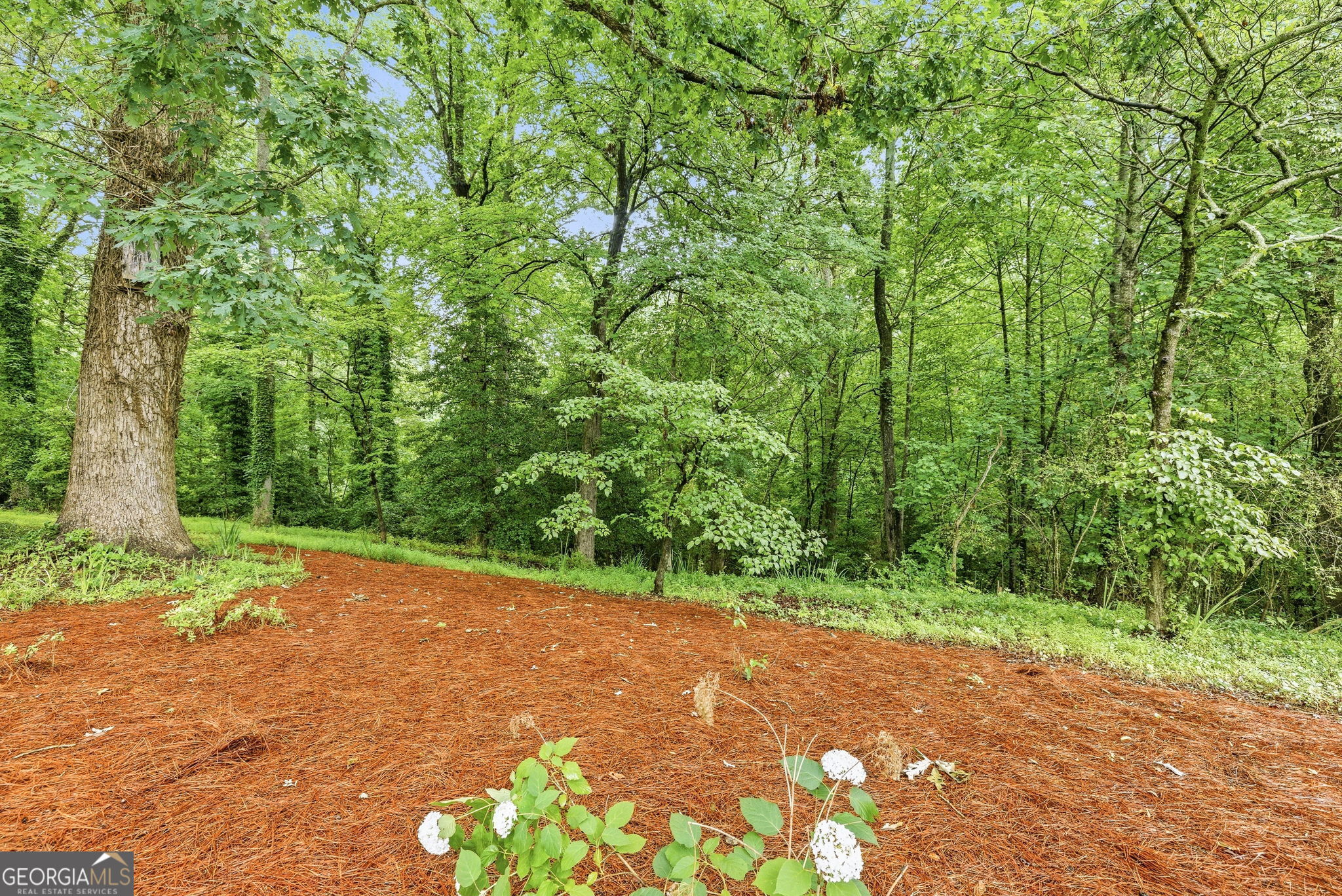 2218 J J Warren Road Cornelia, GA 30531 - Photo 37 of 58