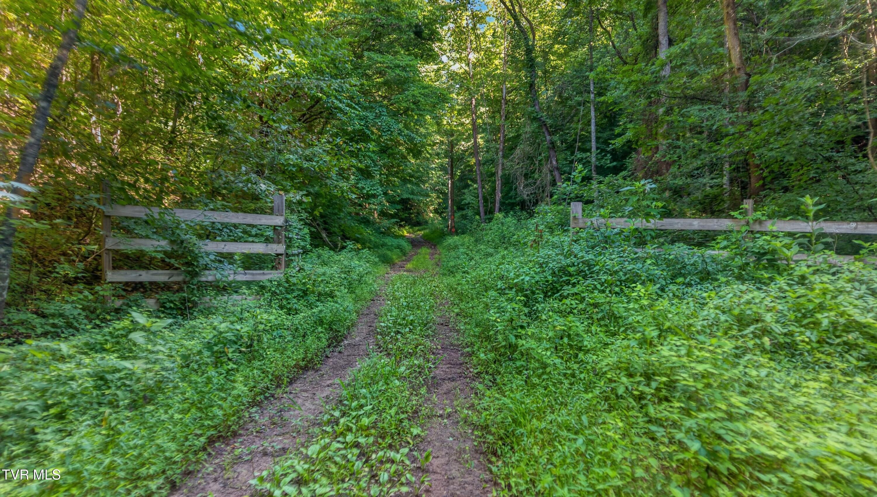 7020 Caney Valley Road Tazewell, TN 37879 - Photo 57 of 61 056-7020CaneyValleyRoad-Tazewell-TN-3787