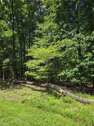 $30,000 | 346 Palisade Trail, Denton, NC 27239