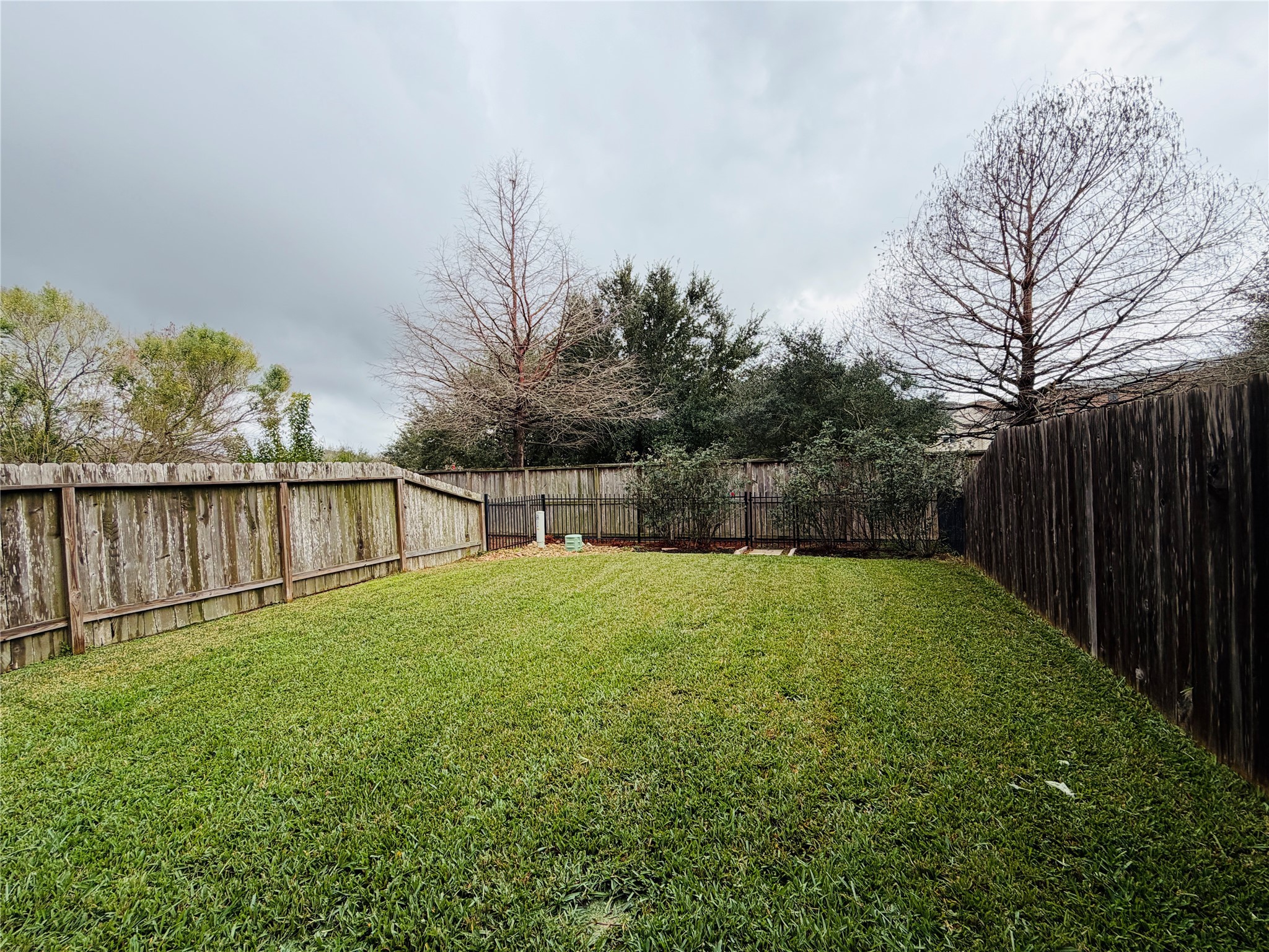 3318 Rainflower Springs Lane Rosenberg, TX 77471 - Photo 19 of 19 a view of backyard with green space