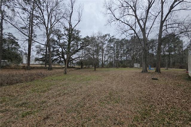 12462 Step Toe Road Roseland, LA 70456 - Photo 3 of 25 Gallery Image 3