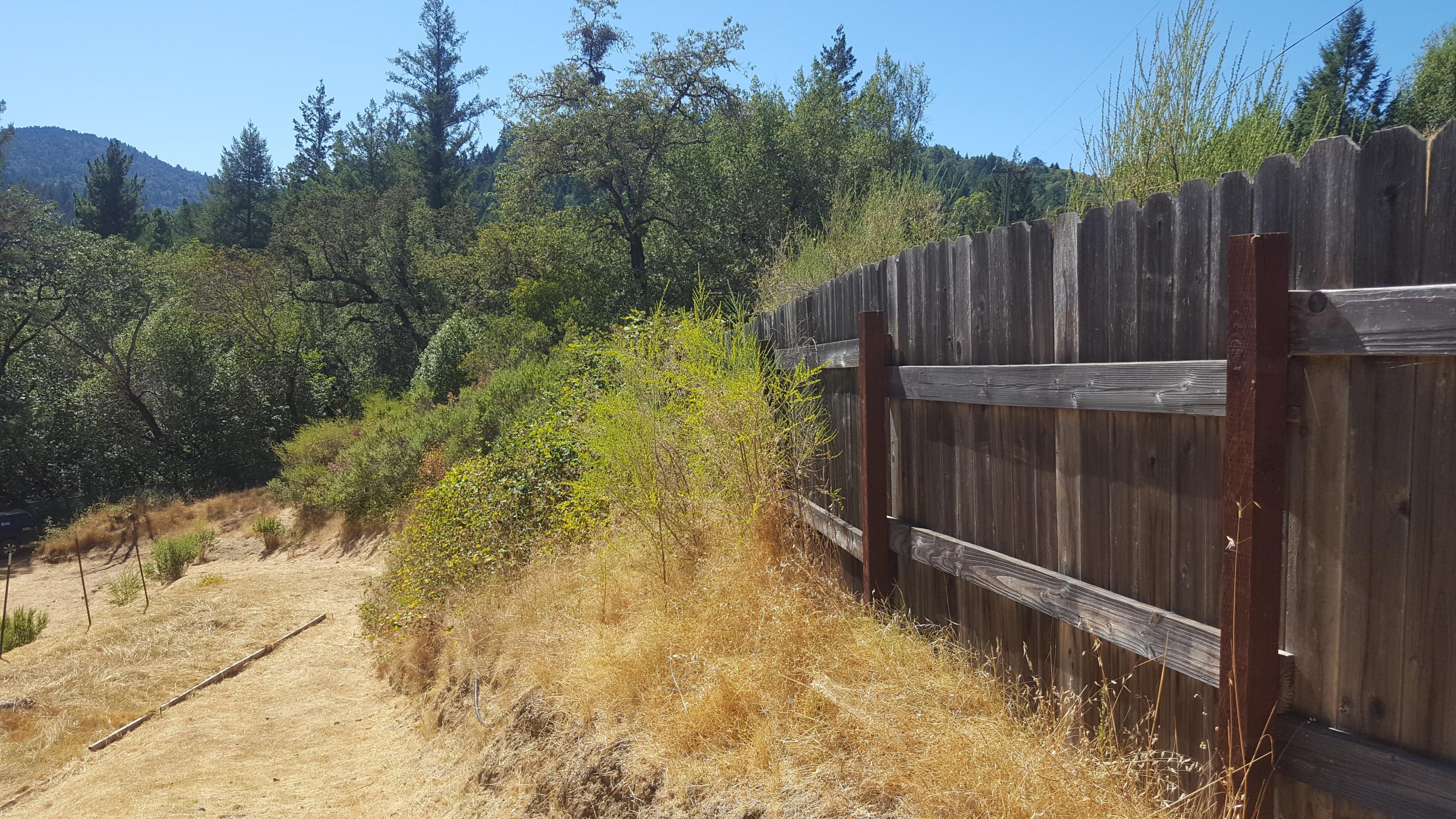 297 County Road Miranda, CA 95553 - Photo 10 of 13 20190912_141337