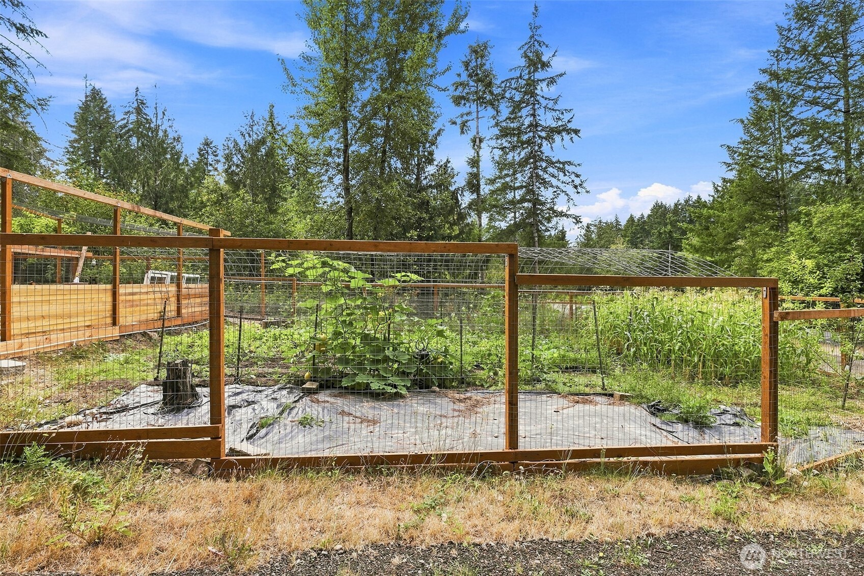 190 East Rasor Road Belfair, WA 98528 - Photo 23 of 33 Gallery Image 23