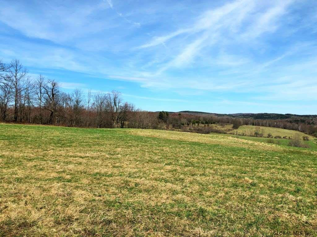 167 Roe Road Worcester, NY 12197 - Photo 12 of 84 Photo 12