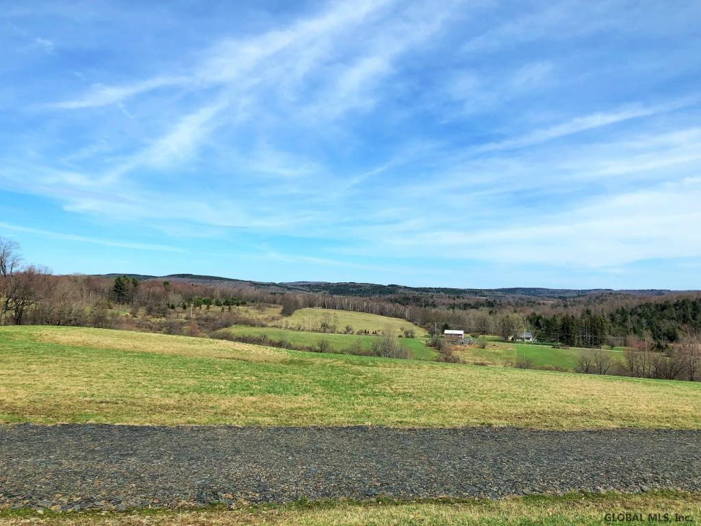 167 Roe Road Worcester, NY 12197 - Photo 16 of 84 Photo 16