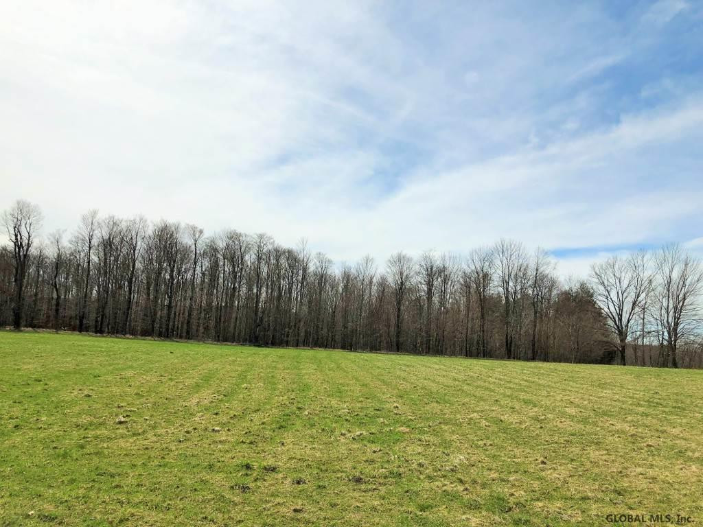 167 Roe Road Worcester, NY 12197 - Photo 19 of 84 Photo 19