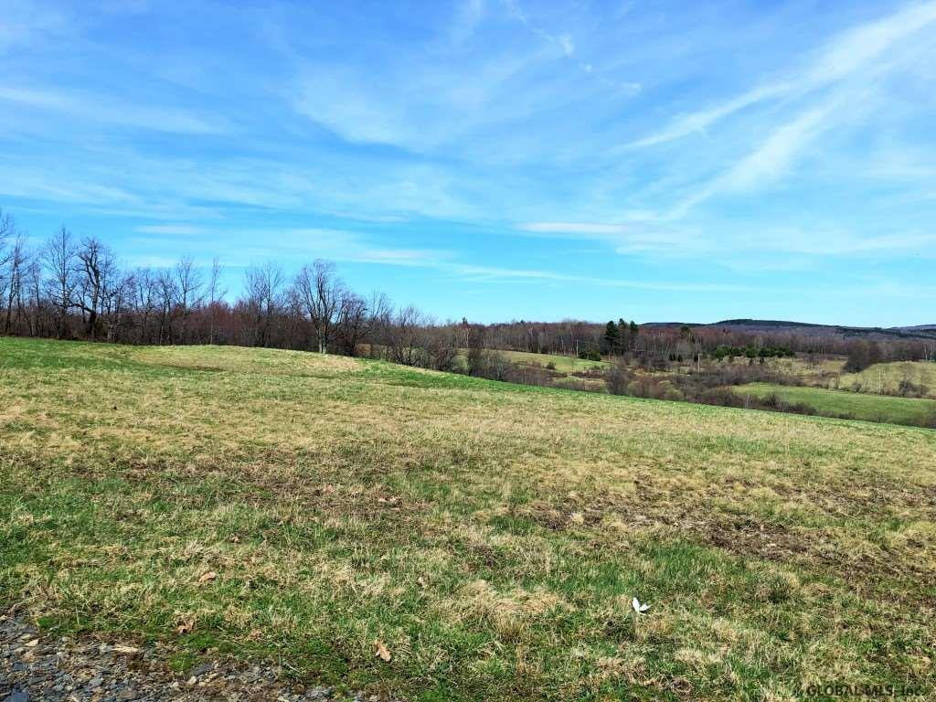 167 Roe Road Worcester, NY 12197 - Photo 20 of 84 Photo 20