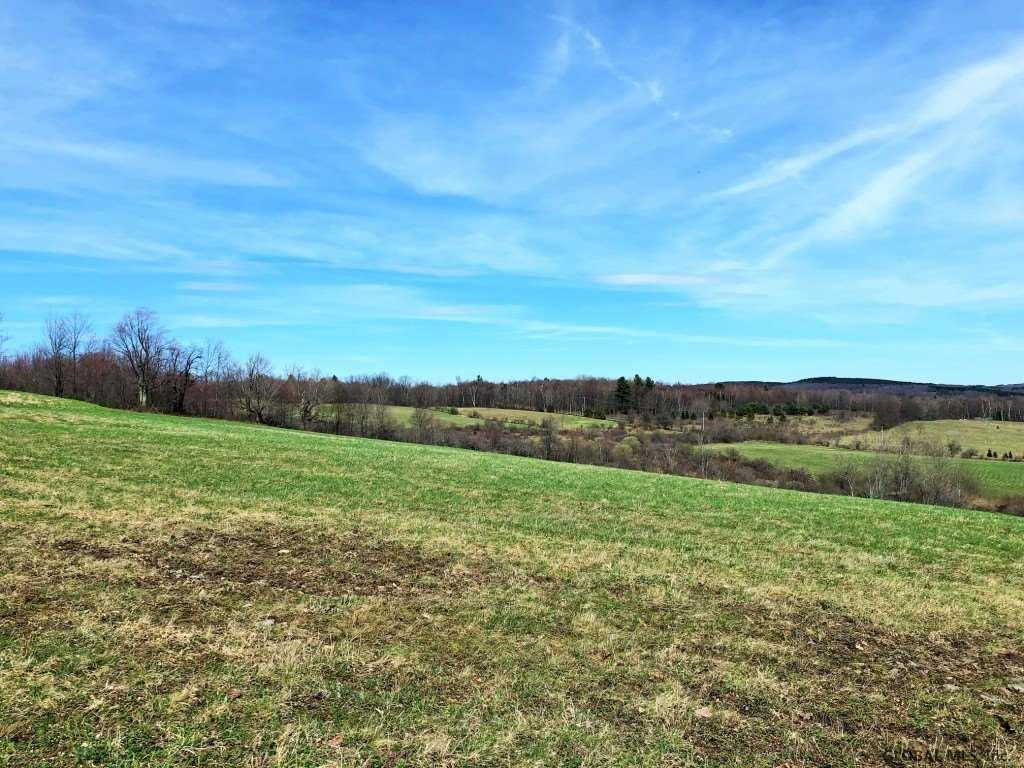 167 Roe Road Worcester, NY 12197 - Photo 22 of 84 Photo 22