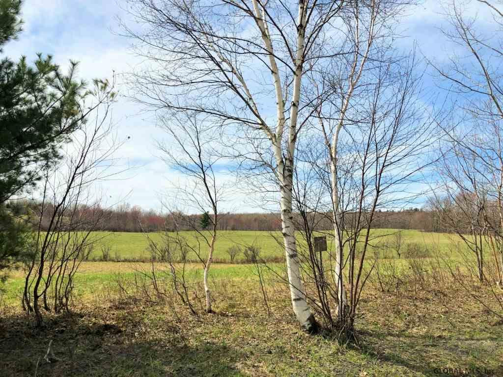 167 Roe Road Worcester, NY 12197 - Photo 24 of 84 Photo 24