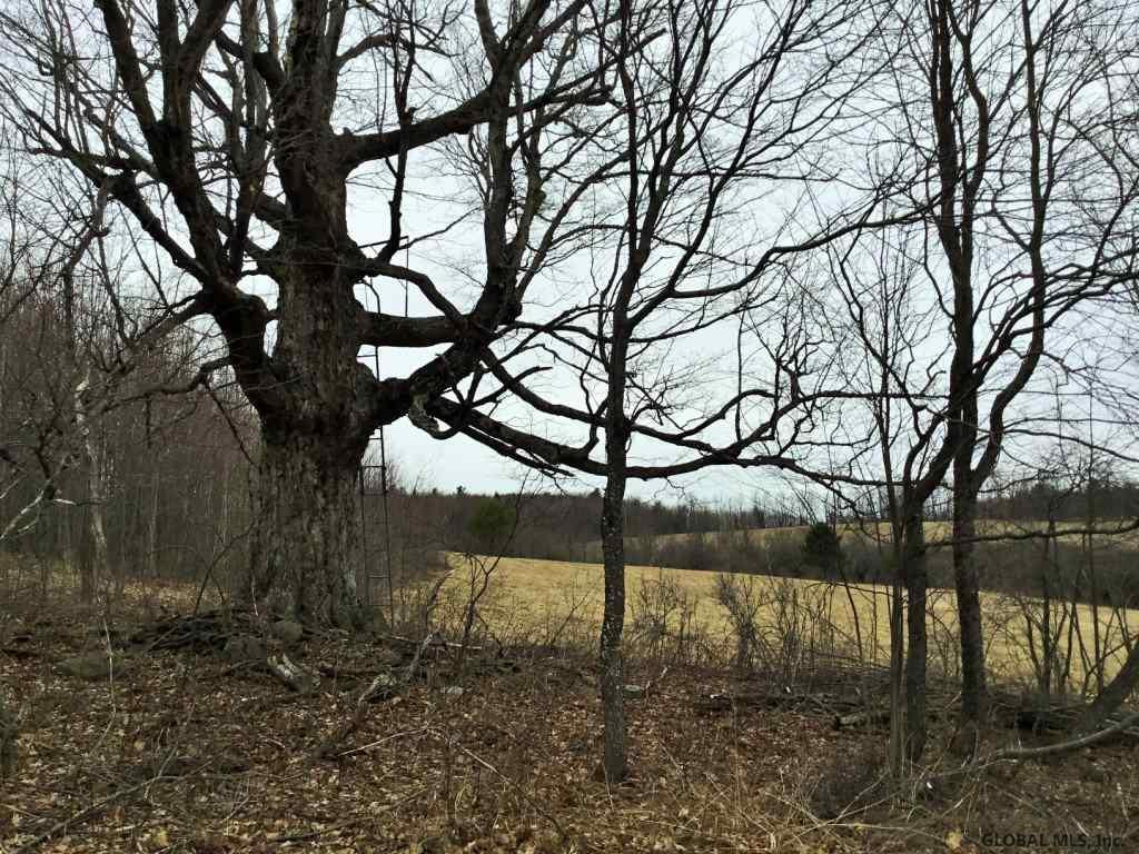 167 Roe Road Worcester, NY 12197 - Photo 39 of 84 Photo 39