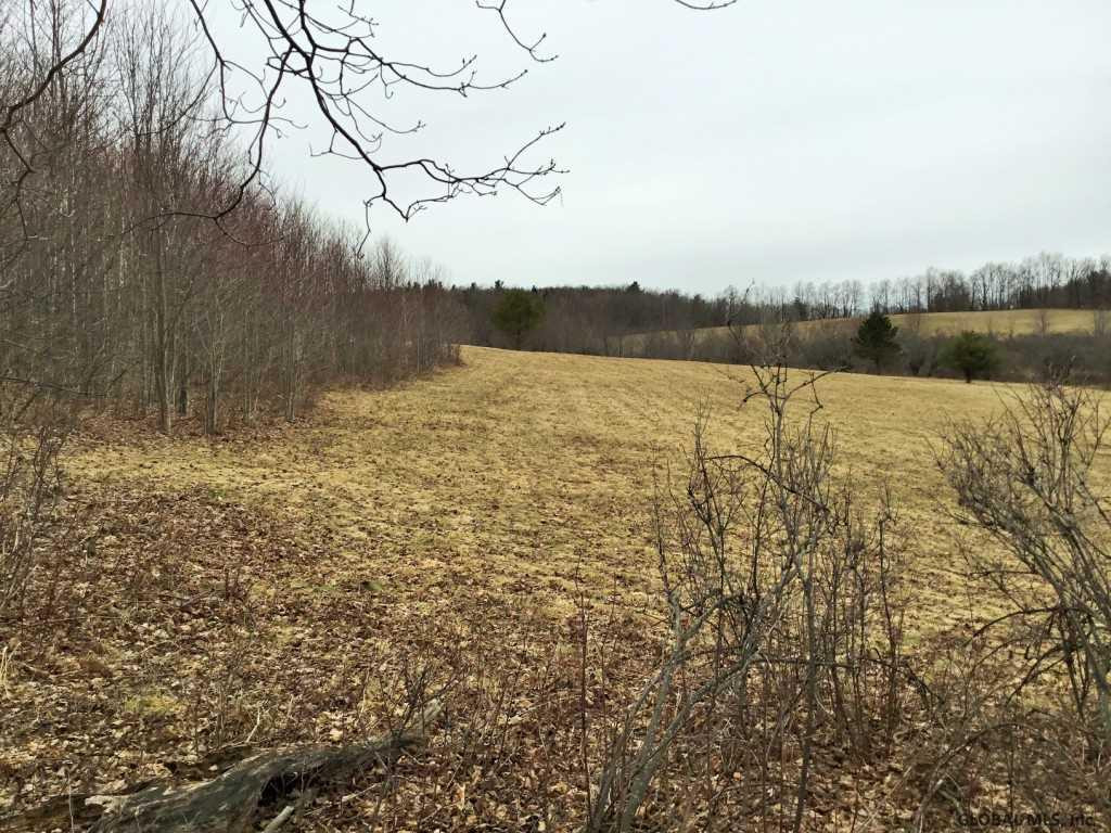 167 Roe Road Worcester, NY 12197 - Photo 40 of 84 Photo 40