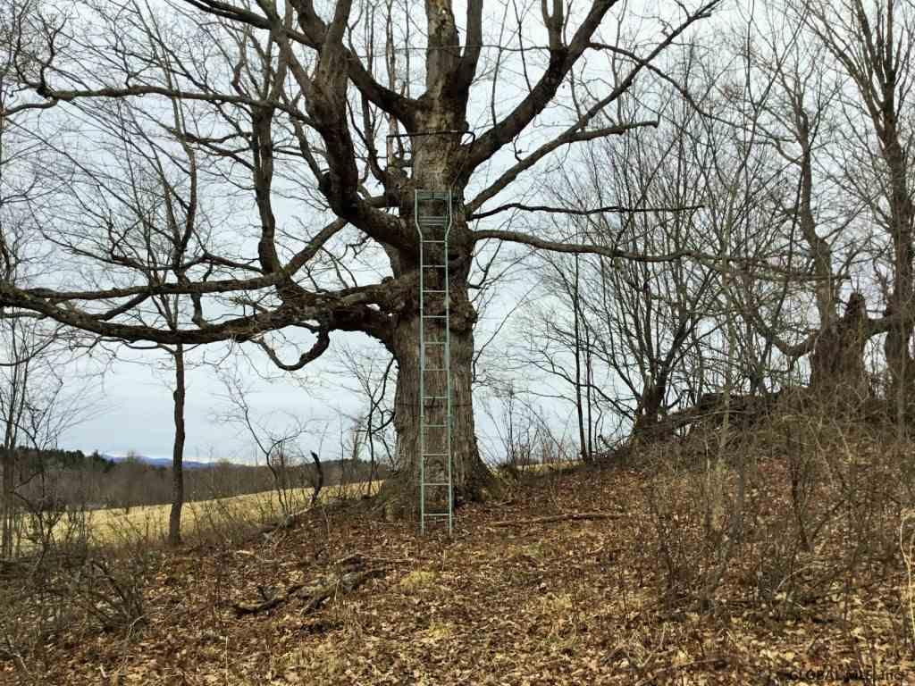 167 Roe Road Worcester, NY 12197 - Photo 43 of 84 Photo 43