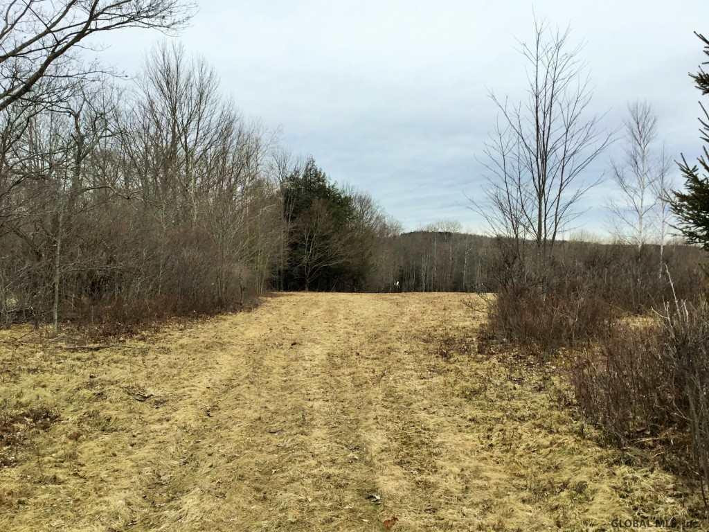 167 Roe Road Worcester, NY 12197 - Photo 47 of 84 Photo 47