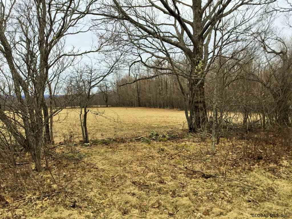 167 Roe Road Worcester, NY 12197 - Photo 48 of 84 Photo 48