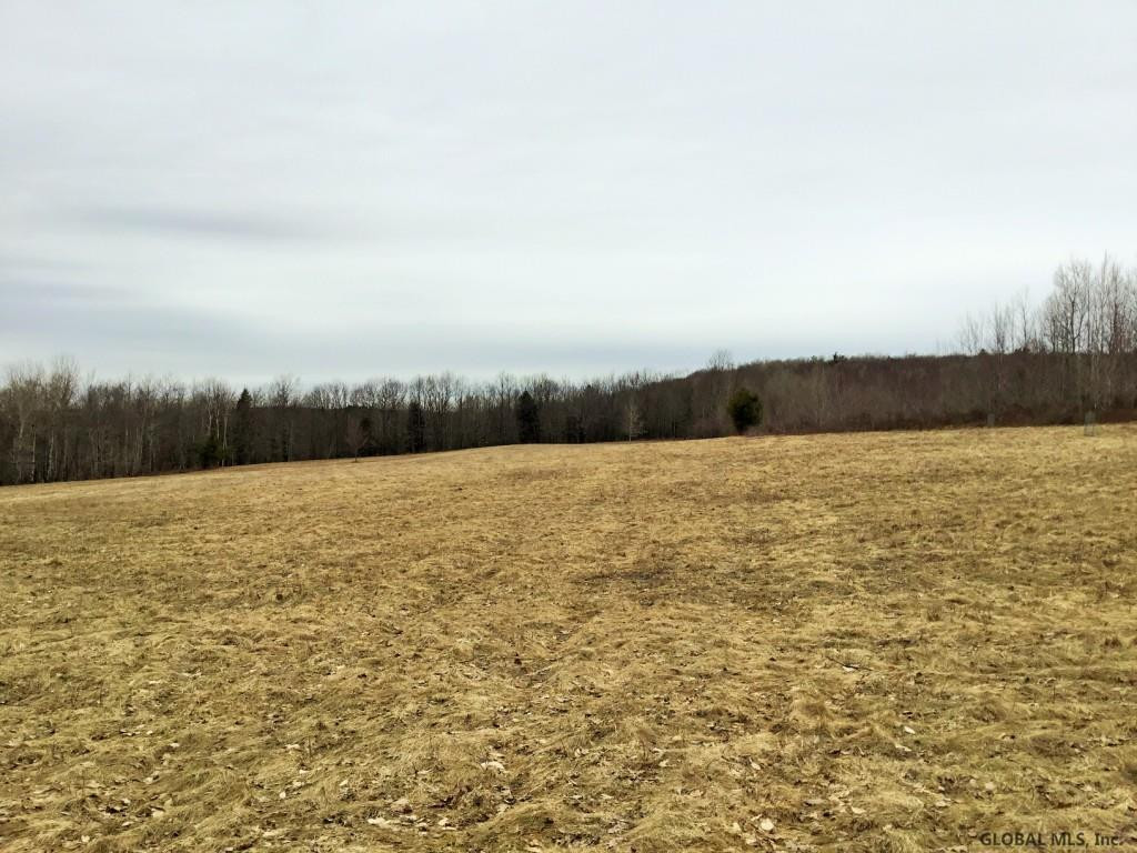 167 Roe Road Worcester, NY 12197 - Photo 50 of 84 Photo 50
