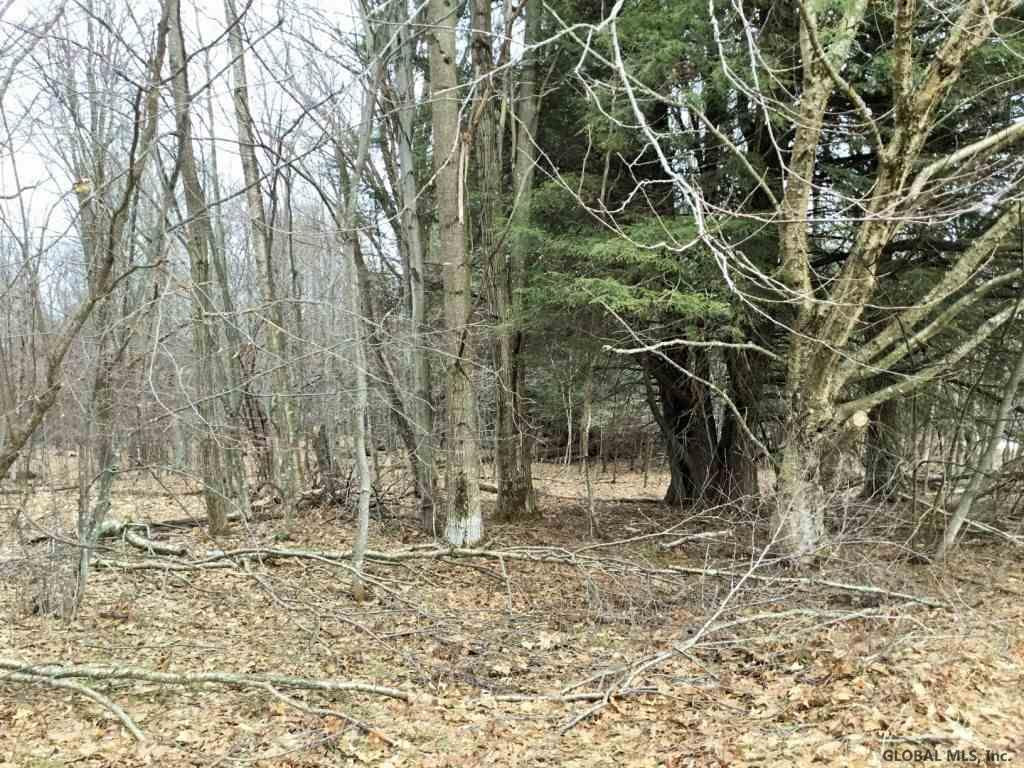 167 Roe Road Worcester, NY 12197 - Photo 52 of 84 Photo 52