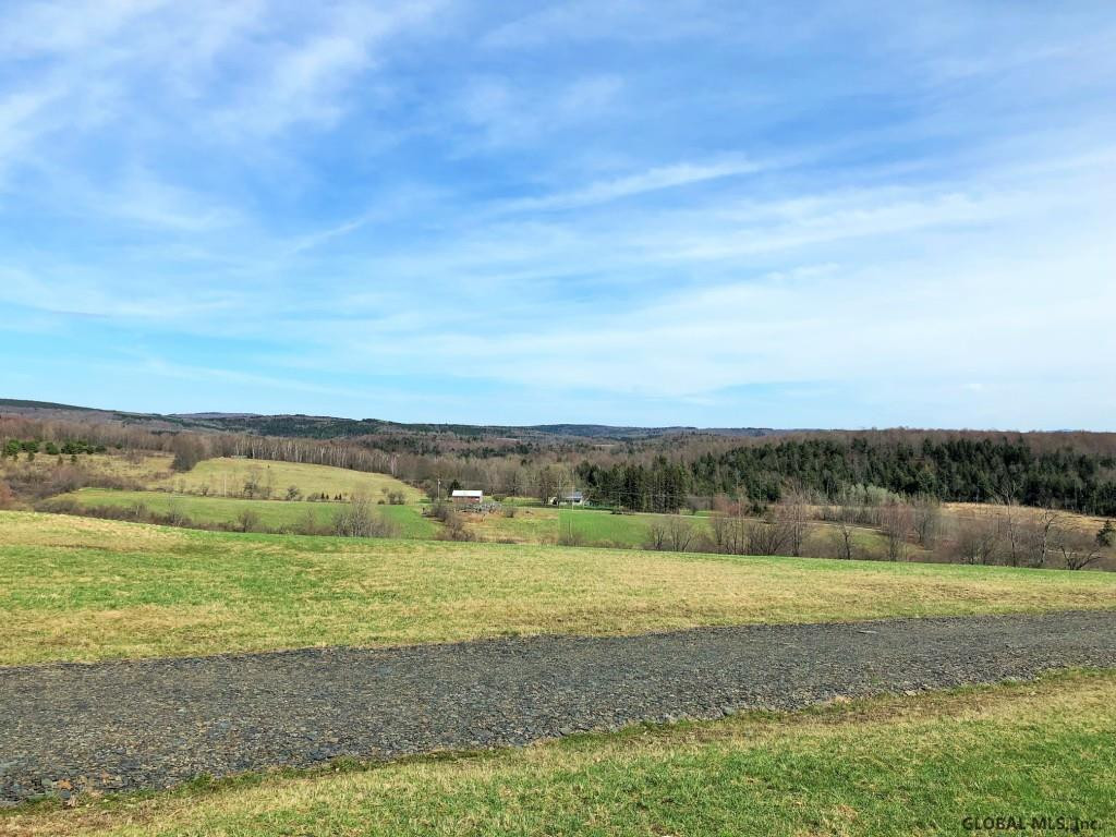 167 Roe Road Worcester, NY 12197 - Photo 53 of 84 Photo 53
