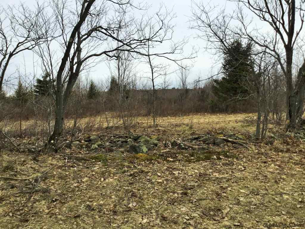 167 Roe Road Worcester, NY 12197 - Photo 55 of 84 Photo 55