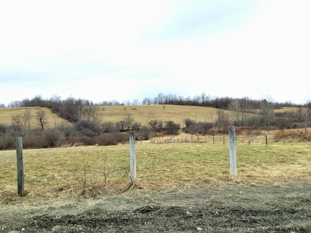 167 Roe Road Worcester, NY 12197 - Photo 64 of 84 Photo 64