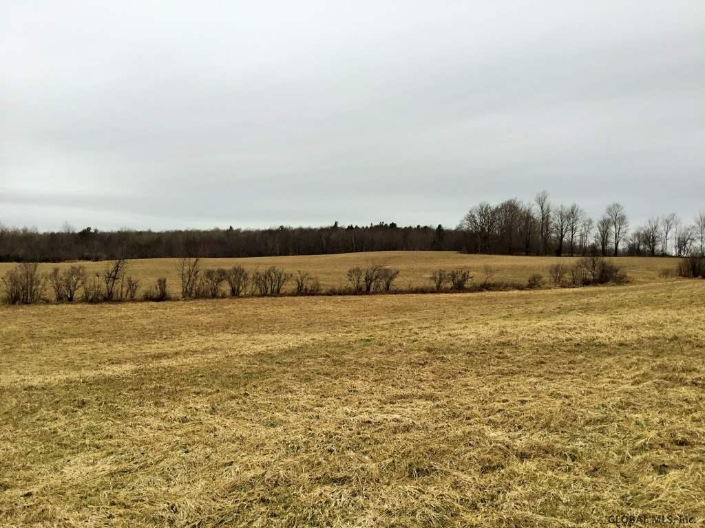 167 Roe Road Worcester, NY 12197 - Photo 67 of 84 Photo 67