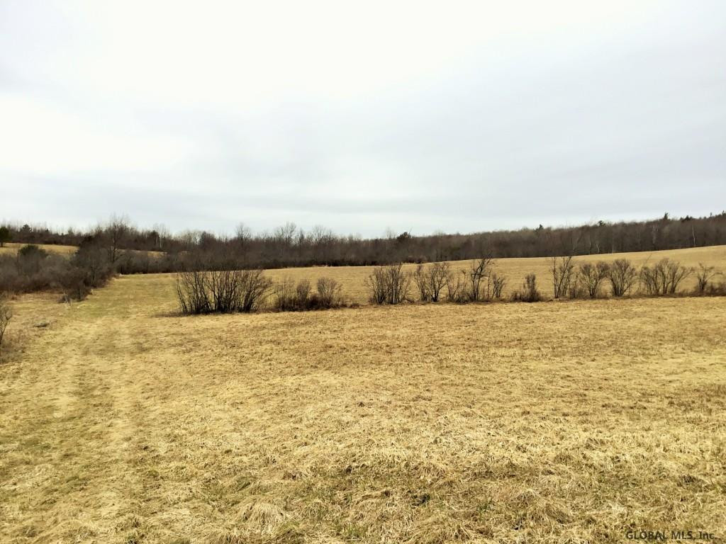 167 Roe Road Worcester, NY 12197 - Photo 68 of 84 Photo 68