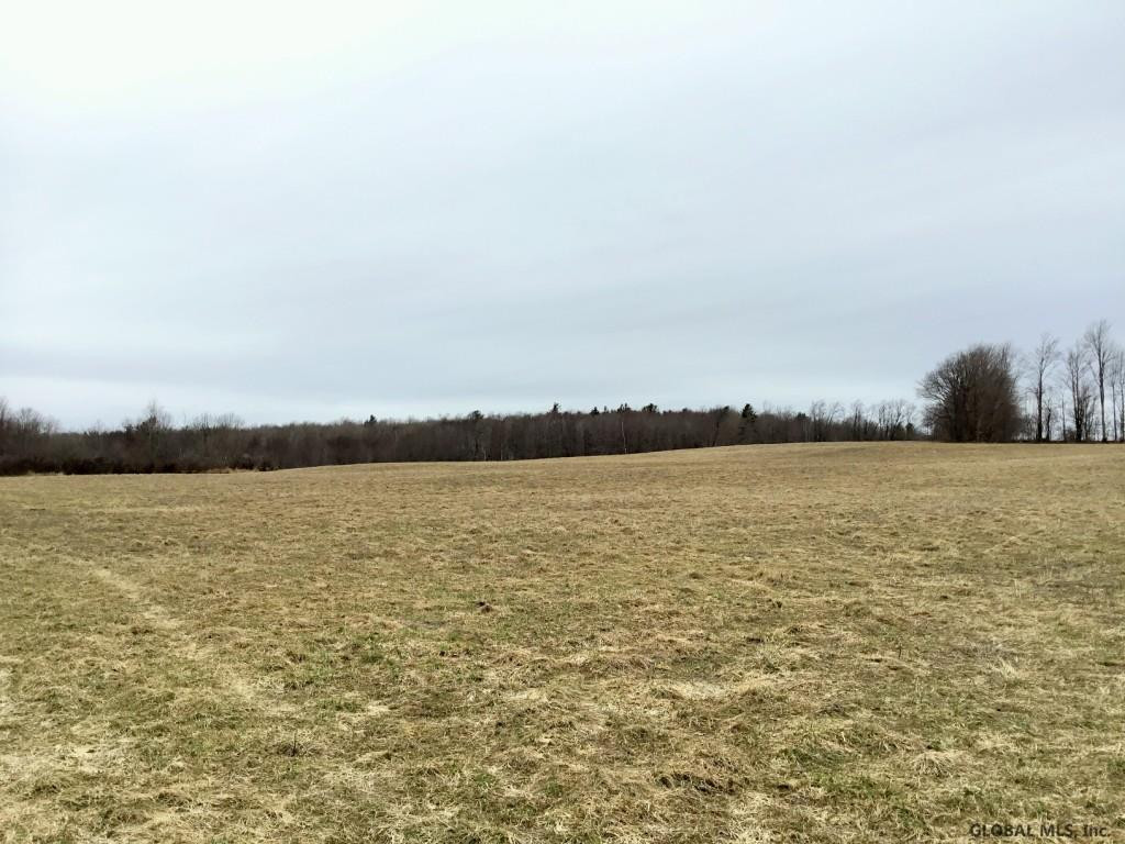 167 Roe Road Worcester, NY 12197 - Photo 69 of 84 Photo 69