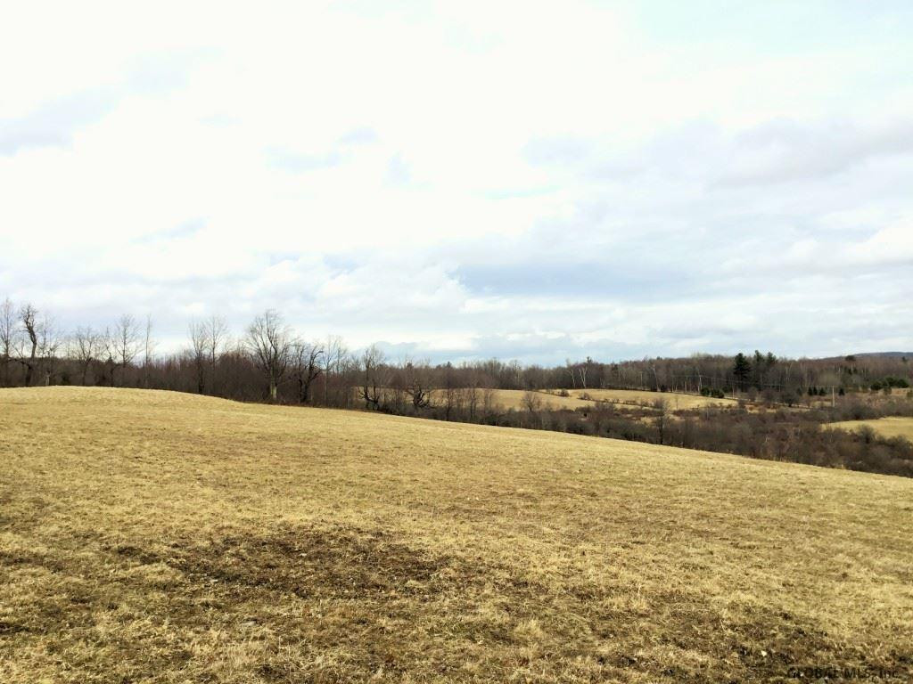 167 Roe Road Worcester, NY 12197 - Photo 78 of 84 Photo 78
