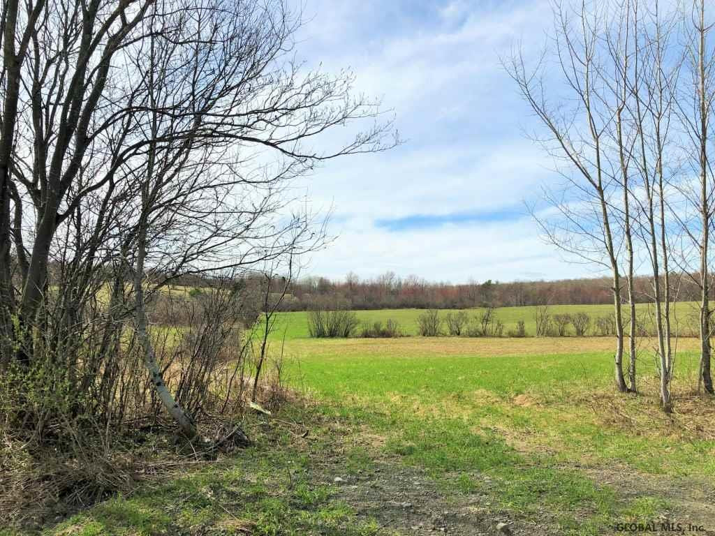 167 Roe Road Worcester, NY 12197 - Photo 80 of 84 Photo 80