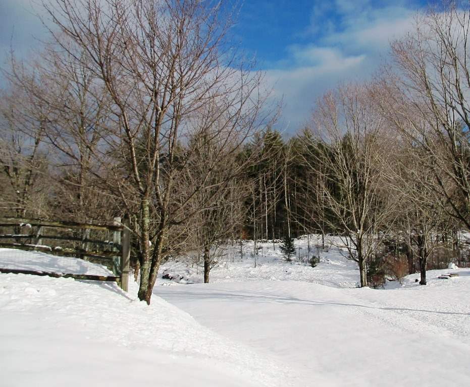 106 S Road Newbury, NH 03255 - Photo 17 of 22
