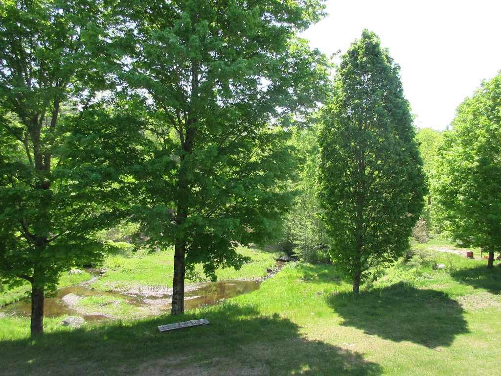 106 S Road Newbury, NH 03255 - Photo 21 of 22