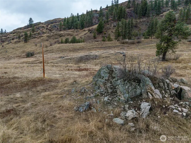 a view of a dry yard with wooden fence