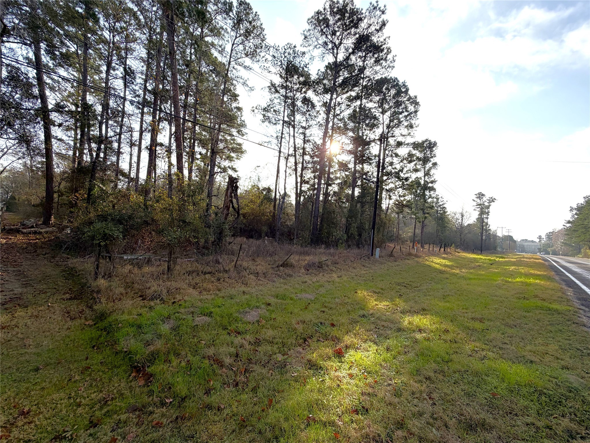 a view of outdoor space and yard