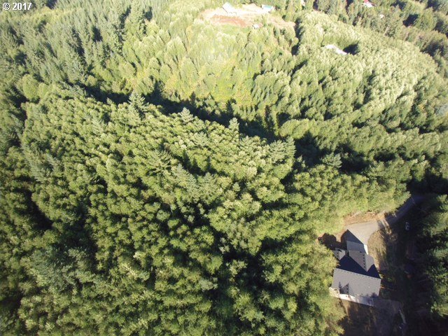 0 Northeast Thompson Road Yacolt, WA 98675 - Photo 10 of 23 Gallery Image 10
