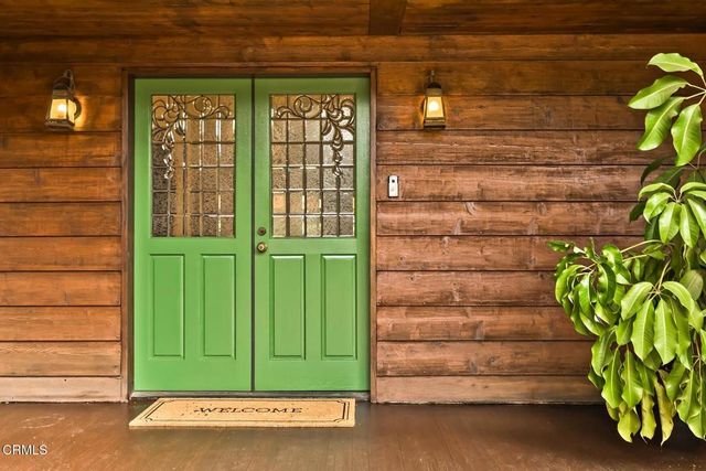 a green plant in front of a door