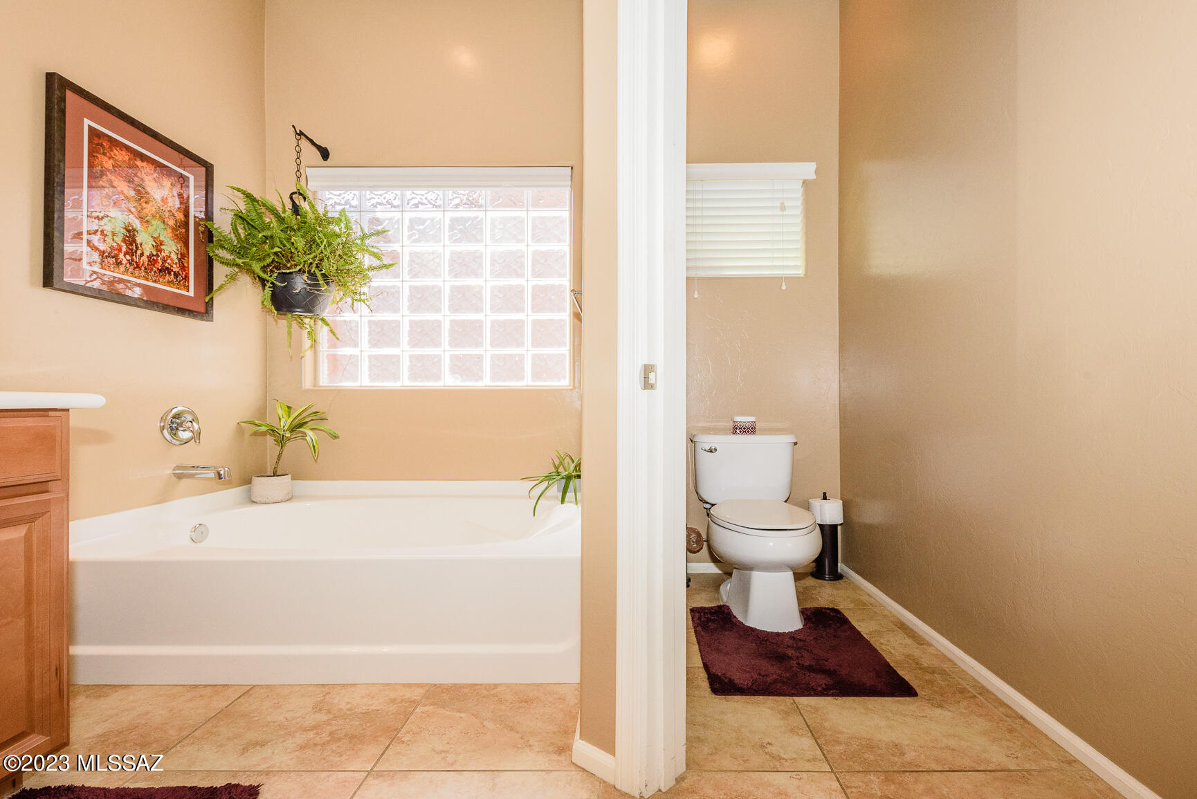 9164 South Sweet Spring Road Tucson, AZ 85756 - Photo 32 of 47 Gallery Image 32