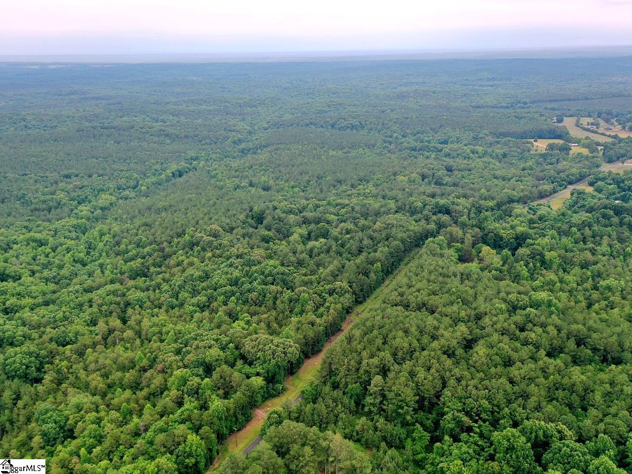 0 Prospect Corner Rd Union Union, SC 29379 - Photo 3 of 14